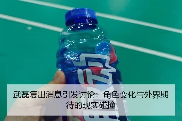 wu-lei-fu-chu-xiao-xi-yin-fa-tao-lun-jue-se-bian-hua-yu-wai-jie-qi-dai-de-xian-shi-peng-zhuang-2-449.jpg